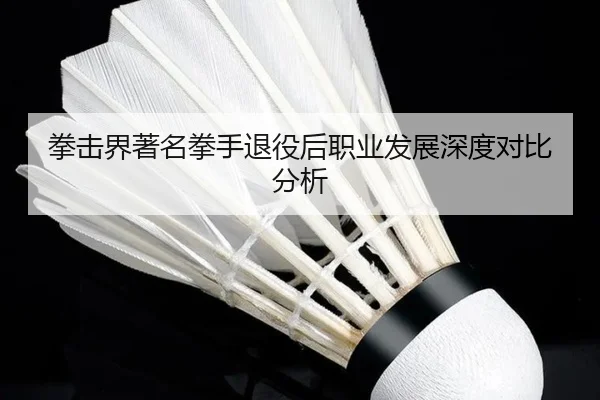 拳击界著名拳手退役后职业发展深度对比分析